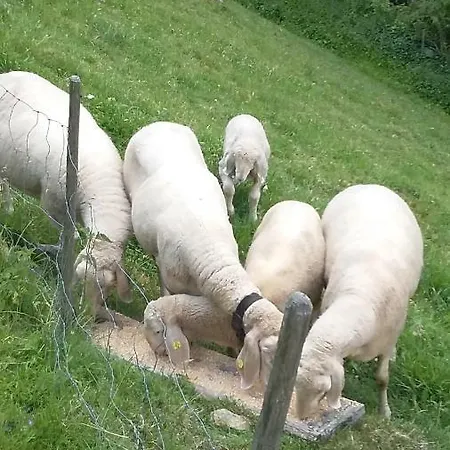 Doadlerhof Нойштифт-им-Штубайталь