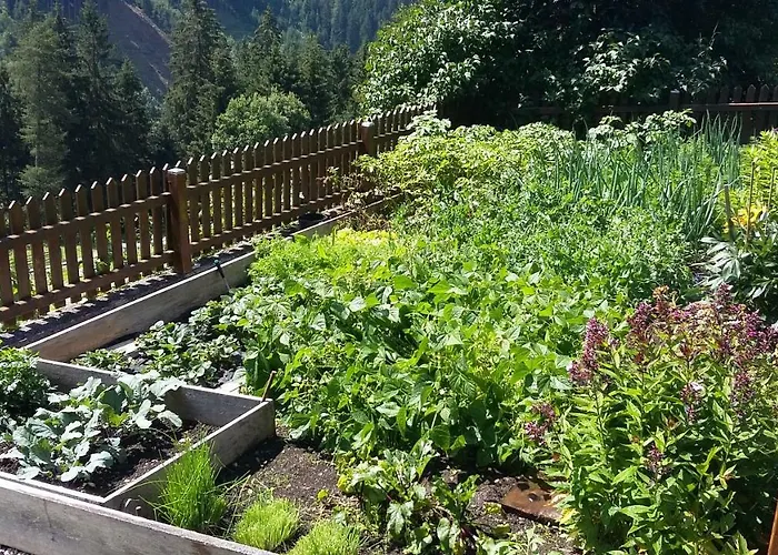 Farm stay Doadlerhof *